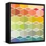 Flanneur (Square)-Sylvie Demers-Framed Stretched Canvas