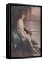 Flapper on Rugged Coast-null-Framed Stretched Canvas