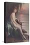 Flapper on Rugged Coast-null-Stretched Canvas
