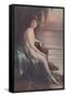 Flapper on Rugged Coast-null-Framed Stretched Canvas