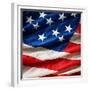 Flapping Flag Usa With Wave-Irochka-Framed Premium Giclee Print