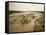 Flash Flood in Oued in Normally Dry Algerian Sahara Region, Algeria-Renner Geoff-Framed Stretched Canvas