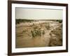 Flash Flood in Oued in Normally Dry Algerian Sahara Region, Algeria-Renner Geoff-Framed Photographic Print