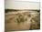 Flash Flood in Oued in Normally Dry Algerian Sahara Region, Algeria-Renner Geoff-Mounted Photographic Print