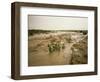 Flash Flood in Oued in Normally Dry Algerian Sahara Region, Algeria-Renner Geoff-Framed Photographic Print