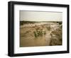 Flash Flood in Oued in Normally Dry Algerian Sahara Region, Algeria-Renner Geoff-Framed Photographic Print