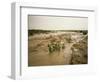 Flash Flood in Oued in Normally Dry Algerian Sahara Region, Algeria-Renner Geoff-Framed Photographic Print