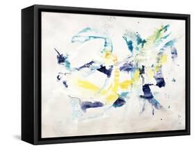 Flash Of Light-Kari Taylor-Framed Stretched Canvas