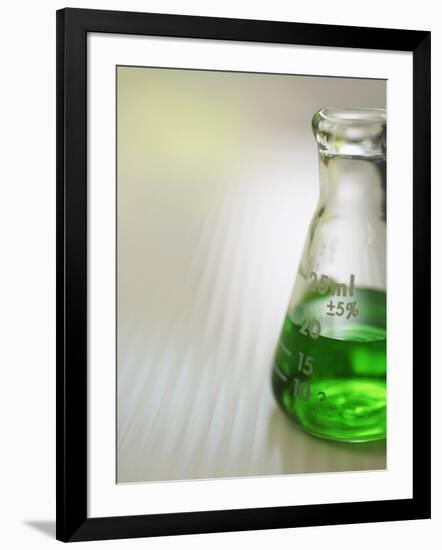 Flask-Tim Pannell-Framed Photographic Print