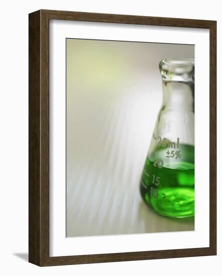 Flask-Tim Pannell-Framed Photographic Print