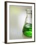 Flask-Tim Pannell-Framed Photographic Print