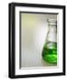 Flask-Tim Pannell-Framed Photographic Print