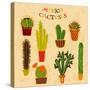 Flat Colorful Illustration of Mexican Succulent Plants and Cactuses in Pots. Vector Botanical Graph-kateja-Stretched Canvas