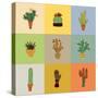 Flat Colorful Illustration of Mexican Succulent Plants and Cactuses in Pots. Vector Botanical Graph-kateja-Stretched Canvas
