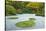 Flat Garden from the Pavilion, Portland Japanese Garden, Portland, Oregon, USA-Michel Hersen-Stretched Canvas