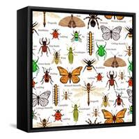 Flat Insects Seamless Pattern Vector Illustration-Macrovector-Framed Stretched Canvas