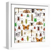 Flat Insects Seamless Pattern Vector Illustration-Macrovector-Framed Art Print