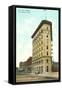Flat Iron Building, Fort Worth, Texas-null-Framed Stretched Canvas