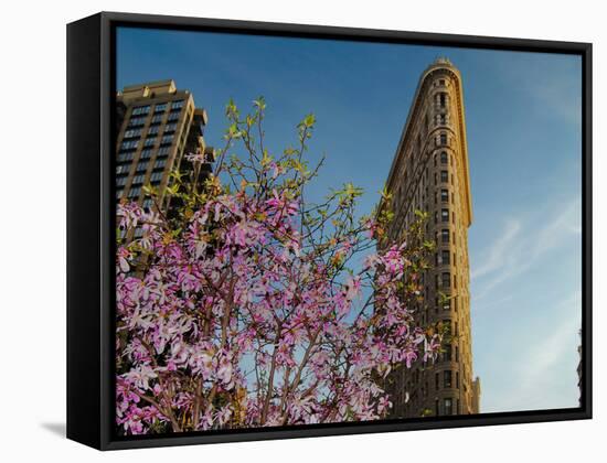 Flat Iron Building in the Spring, Manhattan, New York City-Sabine Jacobs-Framed Stretched Canvas