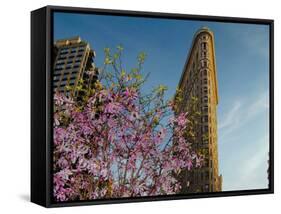 Flat Iron Building in the Spring, Manhattan, New York City-Sabine Jacobs-Framed Stretched Canvas