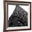 Flat Iron From Below-Philip Craig-Framed Giclee Print