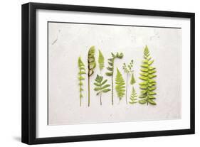 Flat Lay Ferns I-Felicity Bradley-Framed Art Print