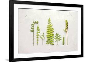 Flat Lay Ferns II-Felicity Bradley-Framed Art Print