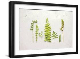 Flat Lay Ferns II-Felicity Bradley-Framed Art Print