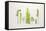 Flat Lay Ferns II-Felicity Bradley-Framed Stretched Canvas