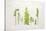 Flat Lay Ferns II-Felicity Bradley-Stretched Canvas