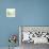 Flat Lay Ferns III-Felicity Bradley-Stretched Canvas displayed on a wall