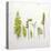 Flat Lay Ferns III-Felicity Bradley-Stretched Canvas