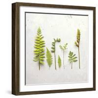 Flat Lay Ferns III-Felicity Bradley-Framed Art Print