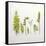 Flat Lay Ferns III-Felicity Bradley-Framed Stretched Canvas