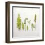 Flat Lay Ferns III-Felicity Bradley-Framed Art Print