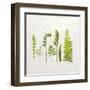 Flat Lay Ferns IV-Felicity Bradley-Framed Art Print