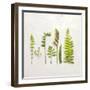 Flat Lay Ferns IV-Felicity Bradley-Framed Art Print