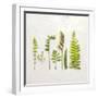 Flat Lay Ferns IV-Felicity Bradley-Framed Art Print