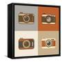 Flat Retro Camera Icons-YasnaTen-Framed Stretched Canvas