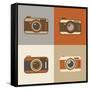 Flat Retro Camera Icons-YasnaTen-Framed Stretched Canvas