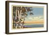 Flathead Lake near Kalispell, Montana-null-Framed Art Print