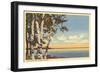 Flathead Lake near Kalispell, Montana-null-Framed Art Print