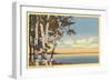 Flathead Lake near Kalispell, Montana-null-Framed Art Print