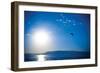 Flathead Lake-Erin Berzel-Framed Photographic Print