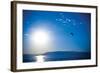 Flathead Lake-Erin Berzel-Framed Photographic Print