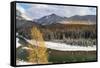 Flathead River in Fall Colors, Glacier National Park, Montana, USA-Chuck Haney-Framed Stretched Canvas