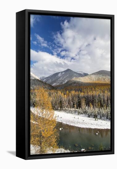 Flathead River in Fall Colors, Glacier National Park, Montana, USA-Chuck Haney-Framed Stretched Canvas