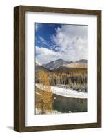 Flathead River in Fall Colors, Glacier National Park, Montana, USA-Chuck Haney-Framed Photographic Print