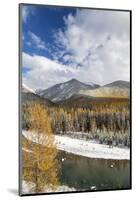 Flathead River in Fall Colors, Glacier National Park, Montana, USA-Chuck Haney-Mounted Photographic Print