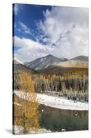 Flathead River in Fall Colors, Glacier National Park, Montana, USA-Chuck Haney-Stretched Canvas